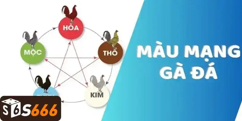 Điểm nổi bật của giống gà