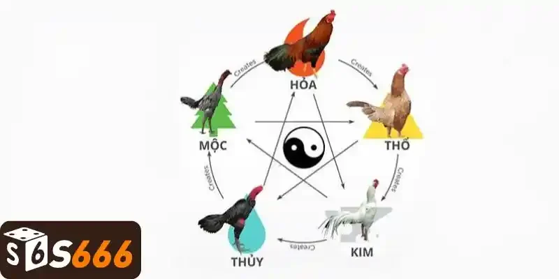 Hướng dẫn xem mạng theo ngũ hành