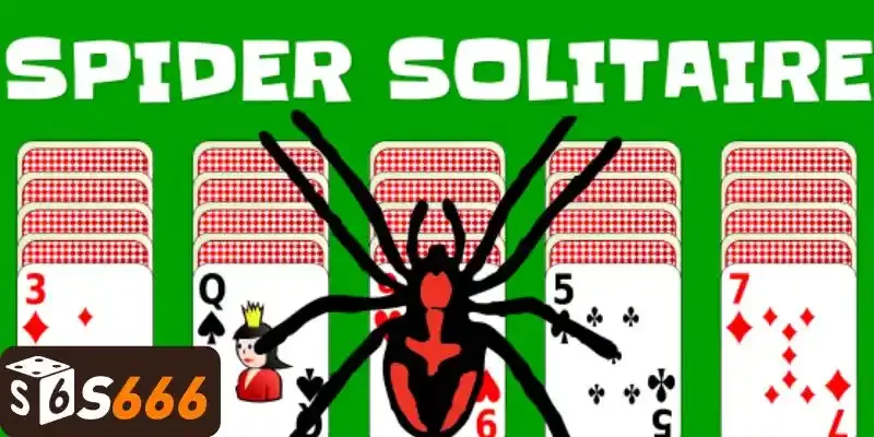 Xếp Bài Nhện - Cách Chơi Dễ Hiểu Dành Cho Người Mới